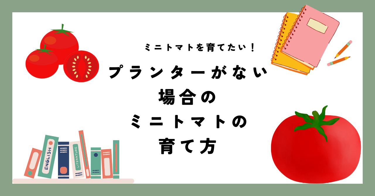 【プランターがない場合のミニトマトの育て方、長男の素敵な発想力】