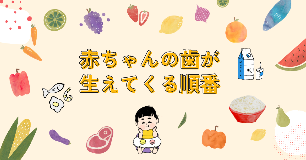 【赤ちゃんの歯が生えてくる順番、一つ飛びが正解？心配しないでも大丈夫】