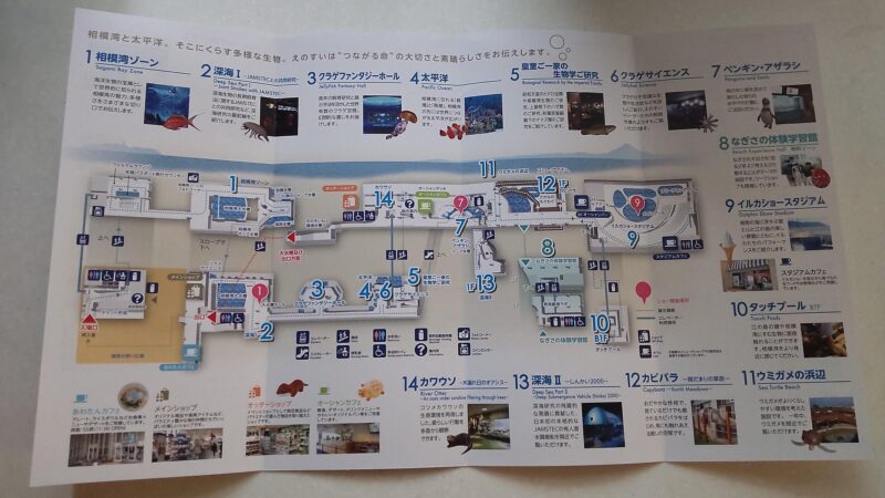 MAP新江ノ島水族館
