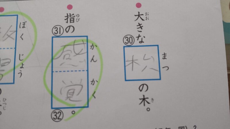 小５夏休みの宿題　松の木