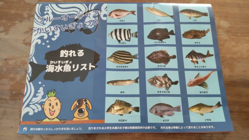 釣れる海水魚リスト