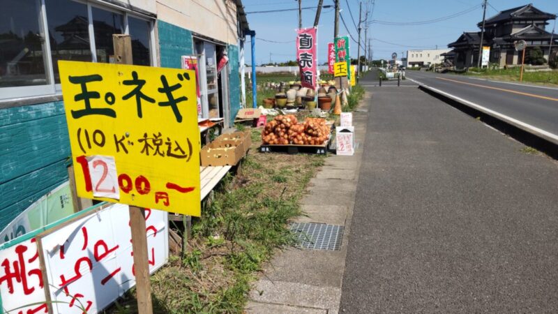 白子産新たまねぎ